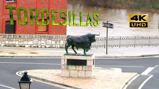 TORDESILLAS [upl. by Atneciv]