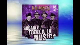 LOS VIEJONES DE LINARES SUBANLE TODO A LA MUSICA LETRA  VOZ [upl. by Elocan]