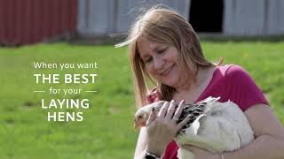 Premium Chicken Feeds from FamilyOwned Kalmbach Feeds® [upl. by Hourihan]