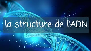 génétique 1ere année med dentaire  structure de lADN [upl. by Tamah928]