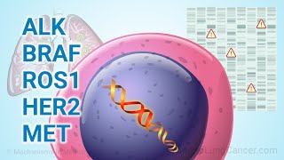 Understanding NSCLC Treatments for Less Common Mutations ALK BRAF ROS1 HER2 MET [upl. by Eillor]