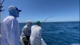 How is tuna fishing guys [upl. by Faustena]