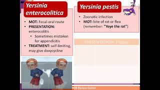 5 Gram Negative Bacilli Manor Review Center [upl. by Sedgewick]