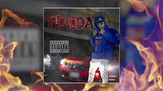 TIMIDA Solo Audio  GIIOTEXXX ft Gums UnderLack amp Yovng Sound Beatz [upl. by Ahsaeyt]