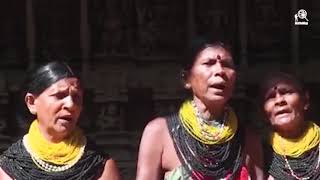 Halakki vokkaliga Janpad Tribal song of the Halakki Vokkaliga Community Karnataka [upl. by Ma314]