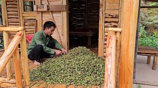 Cabin life making door locks shelves picking star anise to sell [upl. by Aina]