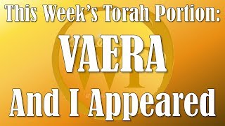 WP TORAH READING VAERA [upl. by Syverson239]