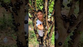 Jaboticaba Fruit Fram amp Cutting so Fresh  Have You tried Jaboticaba fruit shorts youtubeshorts [upl. by Nivrag969]