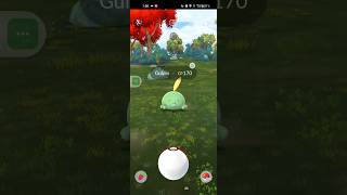 See how I Catch a gulpin in Pokemon go pokemon pokemongo [upl. by Nodnas]