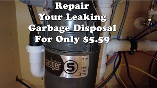 Repair Your Leaking Garbage Disposal For Only 559 [upl. by Swann]