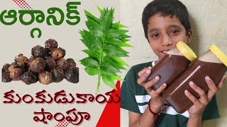 ఆర్గానిక్ కుంకుడుకాయ షాంపూOrganic Kunkudukaya shampooHair ShampooShampoo [upl. by Seow]