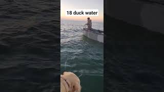 Dont miss  Captain Nicks 18 Waldo anchor experience for sea ducks [upl. by Clarey300]