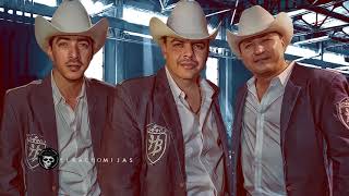 Hijos De Barron  Puros Corridos DISCO COMPLETO [upl. by Ranique853]