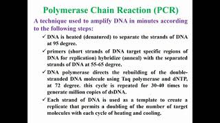 PCR Definition [upl. by Arretak]