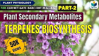 PLANTS SECONDARY METABOLITES PART2 TERPENES BIOSYNTHESIS CSIR NET [upl. by Finella793]