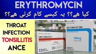 Erythrocin Erythromycin 500MG Tab Uses amp Side Effects In Urdu Hindi  Erythromycin For Sore Throat [upl. by Enailil86]