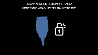 Sczytanie wsadu przez kabel inpy galletto 1260 [upl. by Pooh]