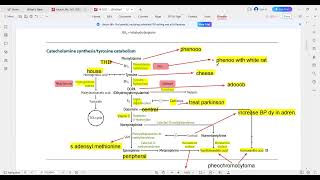 phenylalanine metabolism and catecholamine synthesis [upl. by Itirahc185]