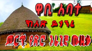 ዋቢ አባተ Wabi Abate ኸሰድ ይጎንሪ [upl. by Lichter]