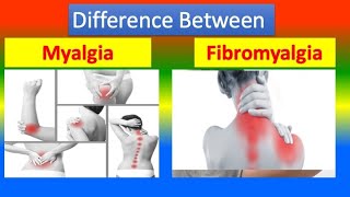 Distinction between Myalgia and Fibromyalgia [upl. by Annim892]