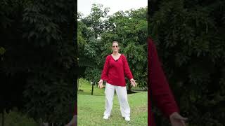 Heart Centered Qigong [upl. by Sylado]