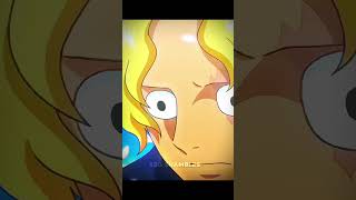 Sabo Visits Aces Grave onepiece anime sabo [upl. by Goetz172]