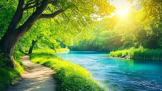 Beautiful Nature With Relaxing Music🍀 Reduce Stress Anxiety amp Depression 🌿 Soul Healing [upl. by Pallaton629]