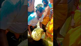 Floating Stone 🪨  Rameshwaram  Tamil Nadu  Xplore with Prudhvi floatingstone jaishreeram shiva [upl. by Eciened494]