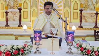 Holy Mass October 31 Thursday 530 AM I Malayalam I Syro Malabar I Fr Bineesh Augustine [upl. by Iznekcam]