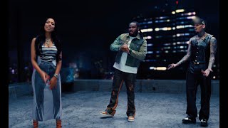 Tee Grizzley  IDGAF feat Chris Brown amp Mariah The Scientist Official Video [upl. by Nerradal]