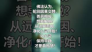 轮回与因果：佛法教你远离恶因，净化心灵 因果报应 心灵净化 白话佛法 [upl. by Qifahs]