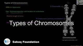 Types of Chromosomes Biology Lecture  Sabaqpk [upl. by Gib]