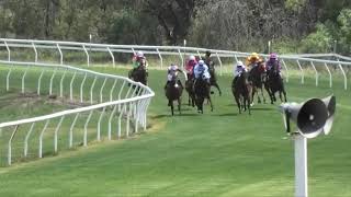 Goondiwindi 20231202 Race 1 [upl. by Nonnag]