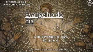 Evangelho do dia  171124  Mc 132432 [upl. by Hanaj]