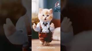 cute cat dance le se s new whatsapp statuscute catedtrendingtrendshortsnew statuscat shorts [upl. by Telimay]