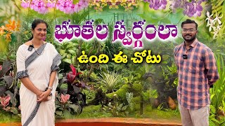 ఇక్కడ ఆర్కిడ్ల కలెక్షన్ అదిరిపోయింది Vizag Orchidarium Visit MADGARDENER [upl. by Neelrak]