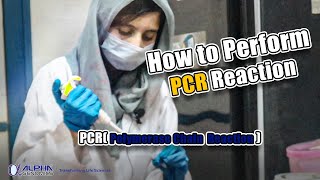 Performing PCR Polymerase Chain Reaction Tutorial  Alpha Genomics [upl. by Aynat]