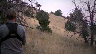 Eastmans Hunting TV  Bowhunting Elk in Idaho  Outdoor Channel [upl. by Amias]