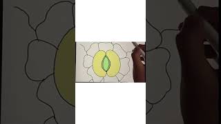 how to draw Stomata diagram step by step stomata stepbystep tutorial diagram [upl. by Irene]