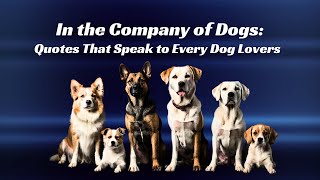 In the Company of Dogs Quotes that Speak to Every Dog Lover  Quips and Quotes [upl. by Adleremse]