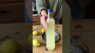 😍🍋 Limoncello aus nur wenigen Zutaten  Thermomix® Rezepte [upl. by Alym]