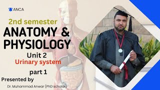 BSN KMU 2ND SEMESTER AampP II UNIT 2 URINARY SYSTEM PART 1 [upl. by Htebi]