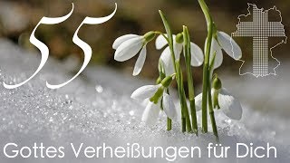 Gottes Verheißungen für Dich  Maleachi 36  Videokalender 55365  Deutschland braucht JESUS [upl. by Henryk]