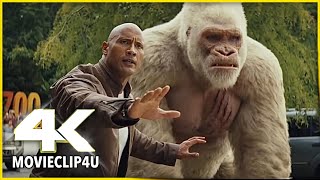 Rampage 2018  Action  Adventure  Dwayne Johnson  Rampage Full Movie Fact amp Some Details [upl. by Haret]