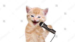 Kucing Nyanyi Lagu Bintang Kecil [upl. by Brooks]