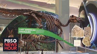 At Smithsonians renovated Hall of Fossils dinosaurs are just the beginning [upl. by Aida463]