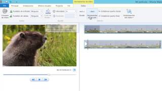 Cómo cortar un vídeo en Windows Movie Maker [upl. by Ellehcam368]