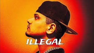 Dhanda Nyoliwala Illegal Song  DNW Vol1  New Haryanvi Hiphop Song ringtonehub [upl. by Ycnan]