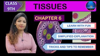 TISSUES  PLANT TISSUES  Class 9 Biology  CBSE [upl. by Sterling689]