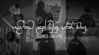 Nonstop old Sinhala Slowed  Reverb Song Collection  DEZTER BEATS [upl. by Jerol]